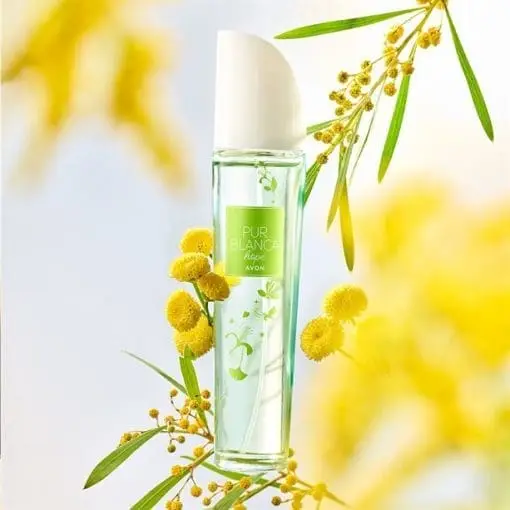 Pur Blanca Hope - Afbeelding 4