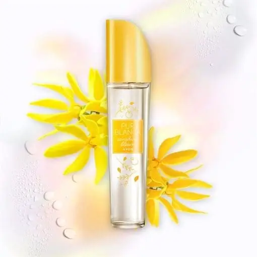 Pur Blanca Sunshine Bloom - Afbeelding 2